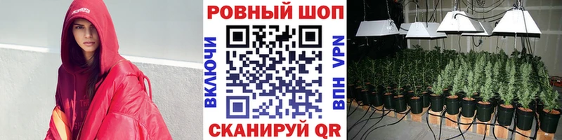Псилоцибиновые грибы Духовщина