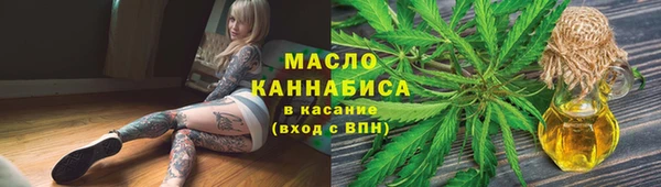 индика Нефтегорск
